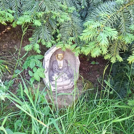 Am Naturteich Mitten Im Gruenen In Alleinlage Entspannen