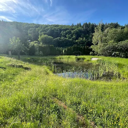 Am Naturteich Mitten Im Gruenen In Alleinlage Entspannen